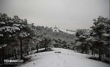 روز برفی تهران - 2 47