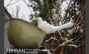 روز برفی تهران در پارک شهر 10