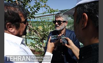 نقاهتگاه سگ های بدون صاحب واقع در آراد کوه 29