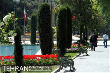 لاله های بهاری پارک شهر 11