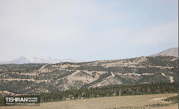 بازدید اصحاب رسانه از کمربند سبز 27