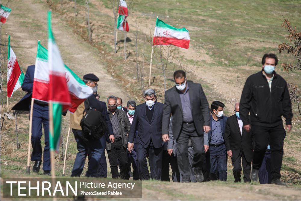 مراسم درختکاری در بوستان پردیسان 3