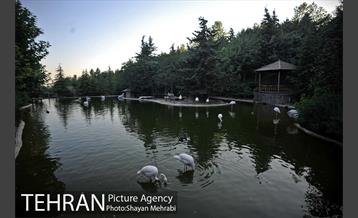 باغ پرندگان تهران 64