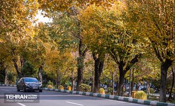 سمفونی رنگ های پاییزی  24