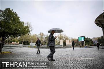 بارش باران بهاری در تهران 9