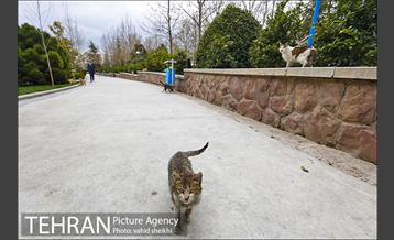 بوستان گفتگو 25