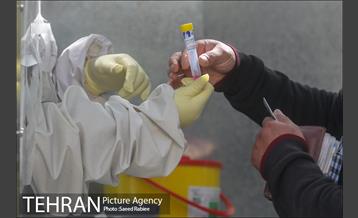 انجام تست رایگان PCR توسط شهرداری تهران 26