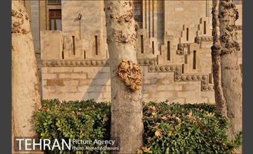 سومین رویداد هنری "پاییز برگ" در میدان مشق 53