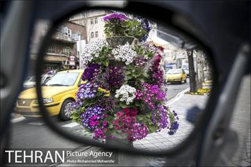 استقبال از بهار در خیابانهای تهران 5