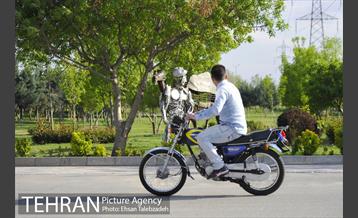 بوستان بازیافت 18