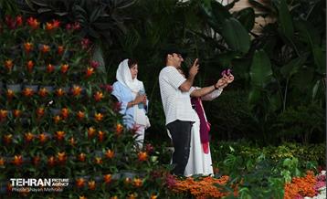 بیستمین نمایشگاه بین‌المللی گل و گیاه 49