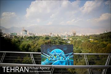 جشنواره نقاشی به مناسبت افتتاح پل طبیعت 4