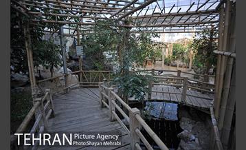 باغ پرندگان تهران 15