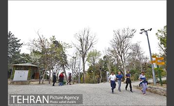 بوستان طالقانی 18