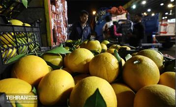 تره‌بار یلدایی 85