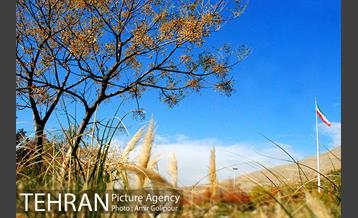 آبشار رنگارنگ 18