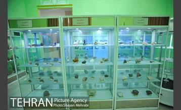 موزه حیات وحش هفت چنار 12