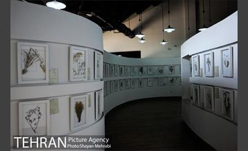 موزه گیاه شناسی دارآباد 20