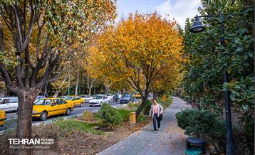 سمفونی رنگ های پاییزی  27