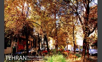 محله نازی آباد 11