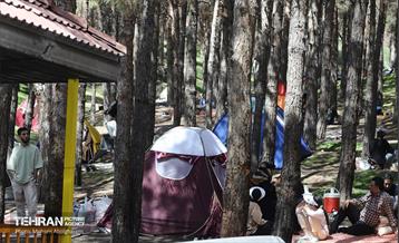 روز طبیعت در پارک جنگلی لویزان 10