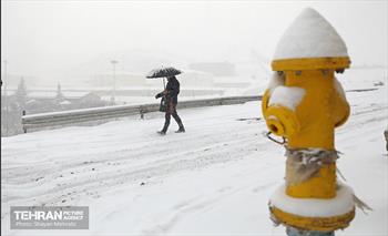 بارش برف در تهران 4
