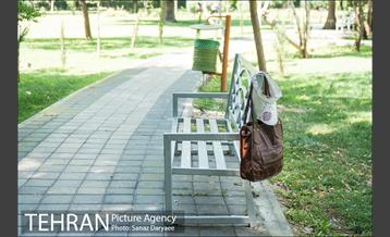 ظهر گرم تابستان 15