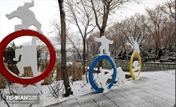 روز برفی در منطقه 22 12