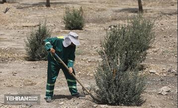 اینجا کارگاهه؛ پروژه بام ری 32