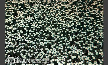 نمایشگاه مجسمه های مهدی شیراحمدی 10