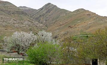 هوای بهاری منطقه 22 31