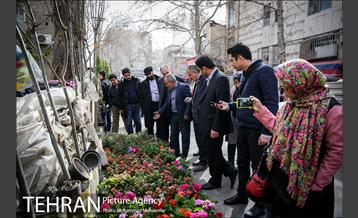تهران گردی احمد مسجدجامعی 20