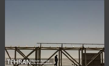 بزرگراه یادگار امام  10