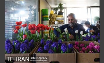 بازار گل شهید محلاتی در آستانه نوروز 26