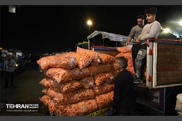 تره‌بار یلدایی 64