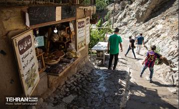 شهرنگار؛ درکه 14