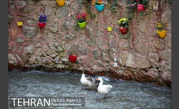 دربند, در بندِ کرونا 7