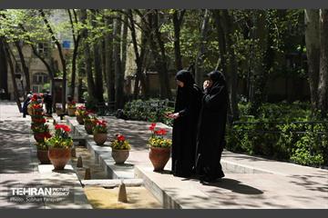 باغ ایرانی میزبان لاله‌ها 53