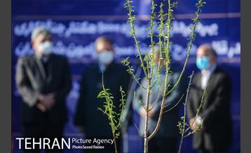 بازدید و افتتاح پروژه جنگل کاری 1000هکتاری در بوستان جنگلی تلو 19