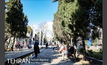 پارک دانشجو 4