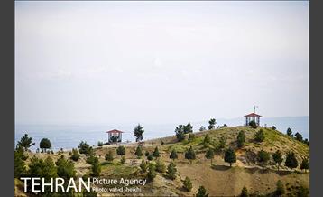 بوستان جنگلی کوهسار 26