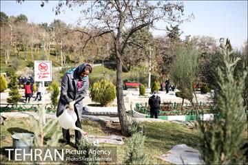 آیین کاشت نهال دوستی با حضور همسران دیپلمات مقیم ایران 26