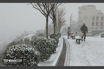 بارش برف زمستانی در منطقه ۲ 8