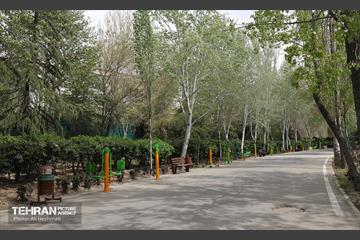 بوستان بانوان نرگس 5