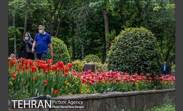 لاله های باغ ایرانی 8