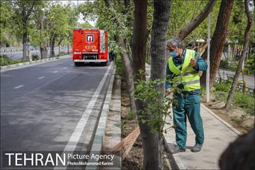 بازدید شهردار منطقه 16 از بوستان های شاخص منطقه در روز طبیعت 7
