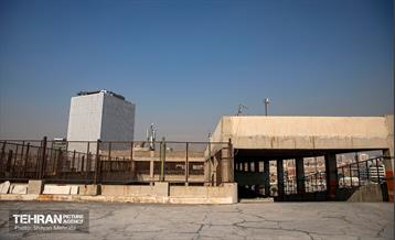 جای خالی پروانه ها 8