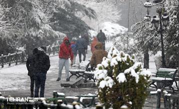 بارش برف در تهران 22