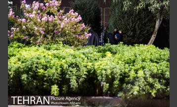 حضور شبانه مردم در بوستان بهمن‎ 4