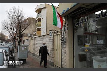تهران به رنگِ پرچم افتخار 15